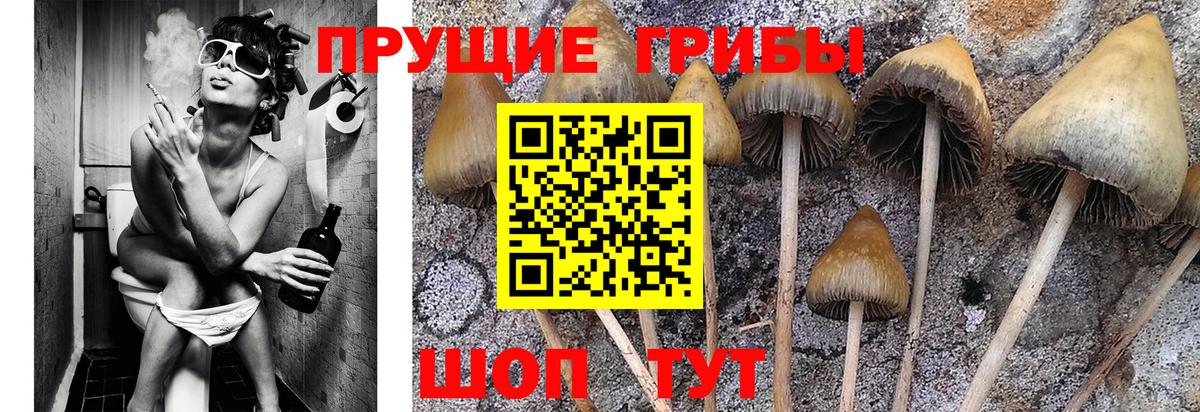 Галлюциногенные грибы мицелий  Вход с VPN  Псилоцибиновые грибы GOLDEN TEACHER  где можно купить наркотик  Нягань 