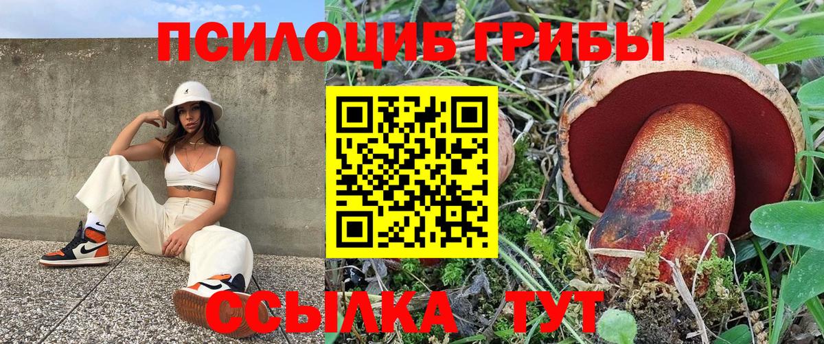Псилоцибиновые грибы прущие грибы Нягань